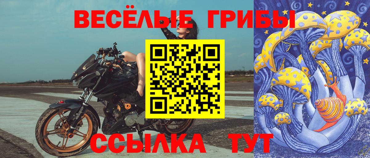 Галлюциногенные грибы Cubensis Дзержинск