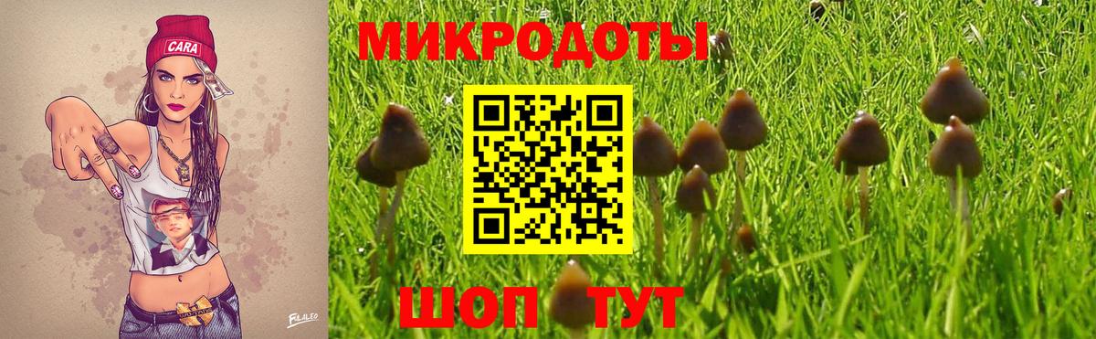 Дзержинск  Псилоцибиновые грибы ЛСД  Вход с VPN 